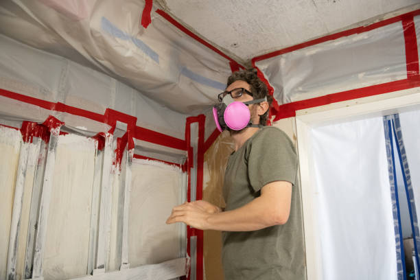 Mold Remediation for Vacation Homes in Terrell, TX